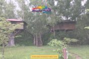 Shikra Jungle Resort