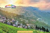 Queen of Hills Darjeeling