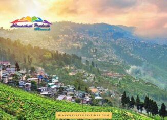 Queen of Hills Darjeeling