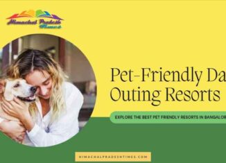 Pet Friendly Resorts In Bangalore for Day Outing