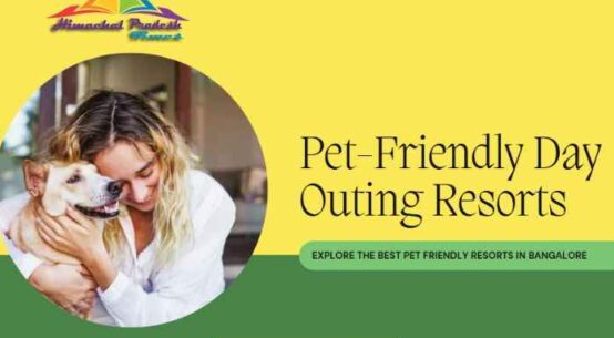 Pet Friendly Resorts In Bangalore for Day Outing